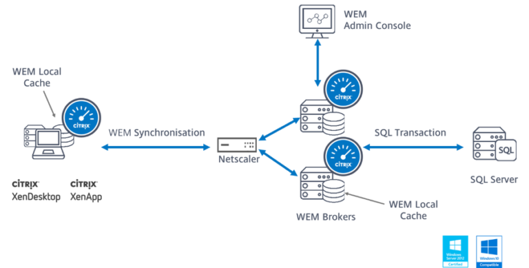 citrix workspace environment management